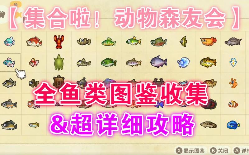 集合啦动物森友会海鸥水手任务攻略详解:轻松完成航海挑战全攻略